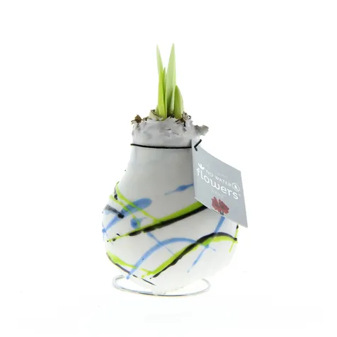 No Water Flowers® - Art